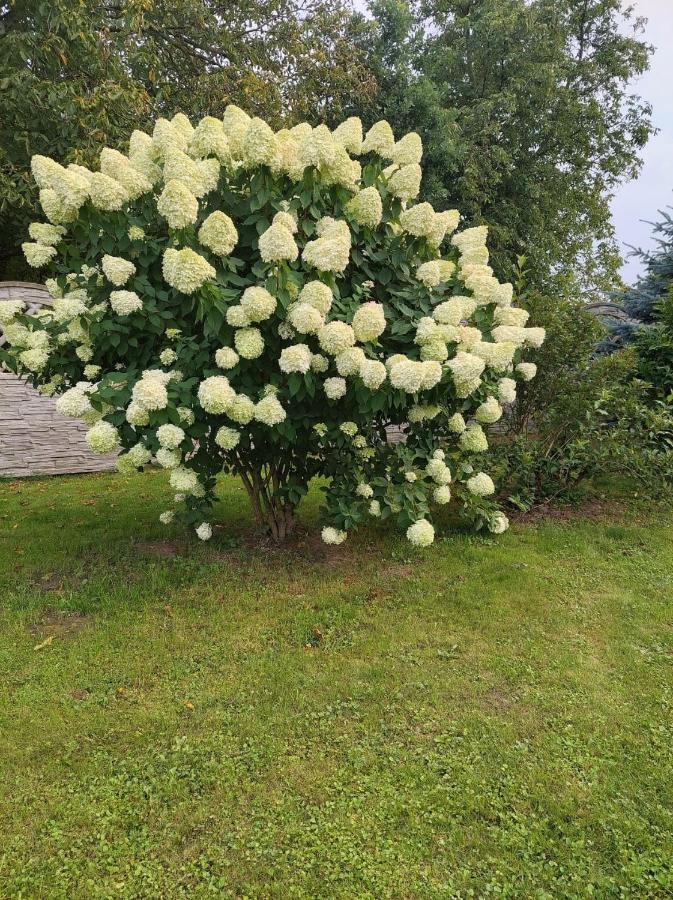 Magnolia Gospodarstwo Agroturystyczne Kazimierz Dolny Luaran gambar